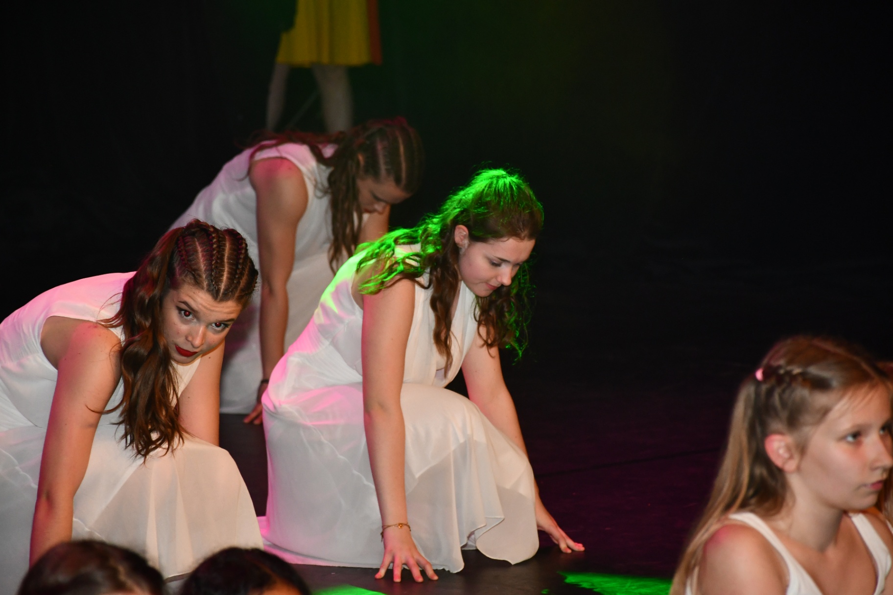 Danse et Vous — photo de gala