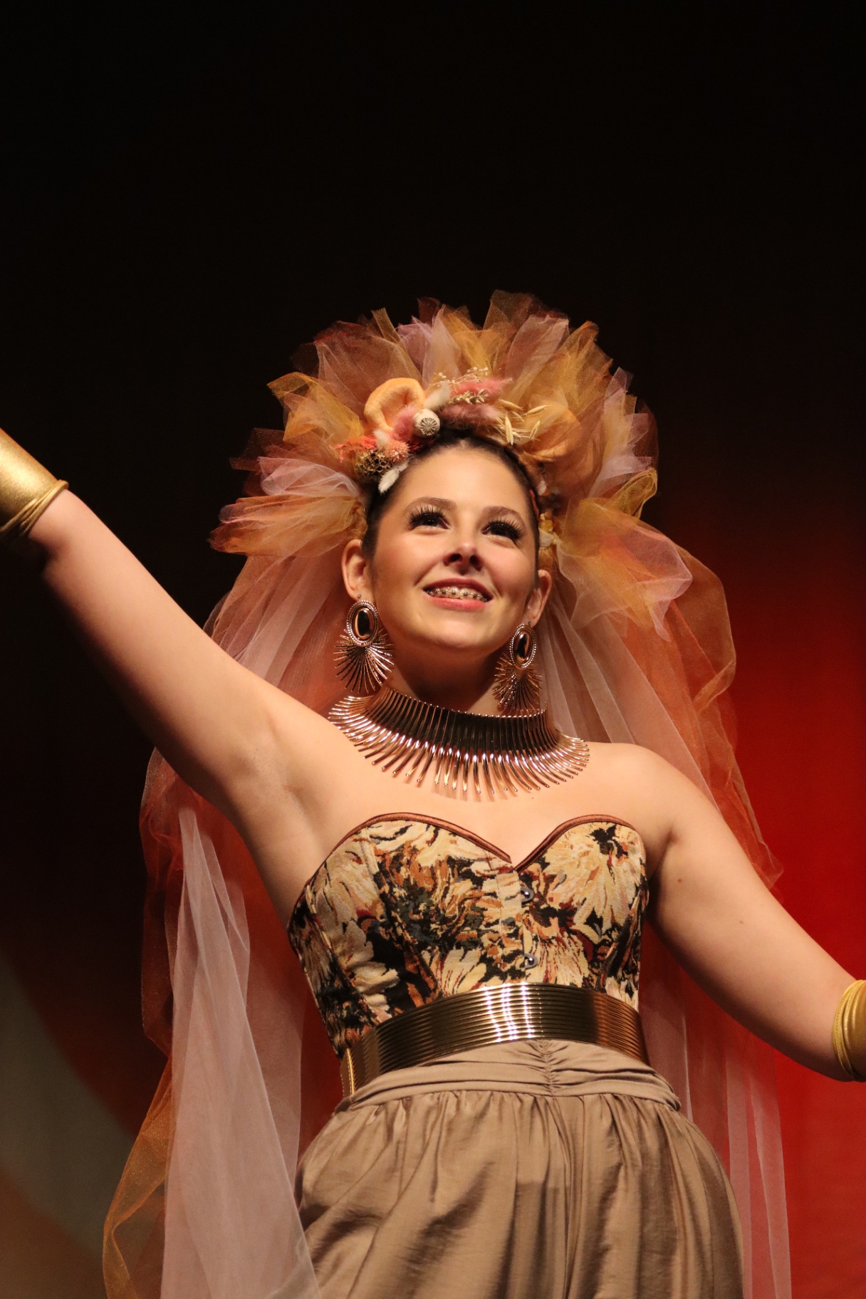 Danse et Vous — danseuse en coiffe de tulle
