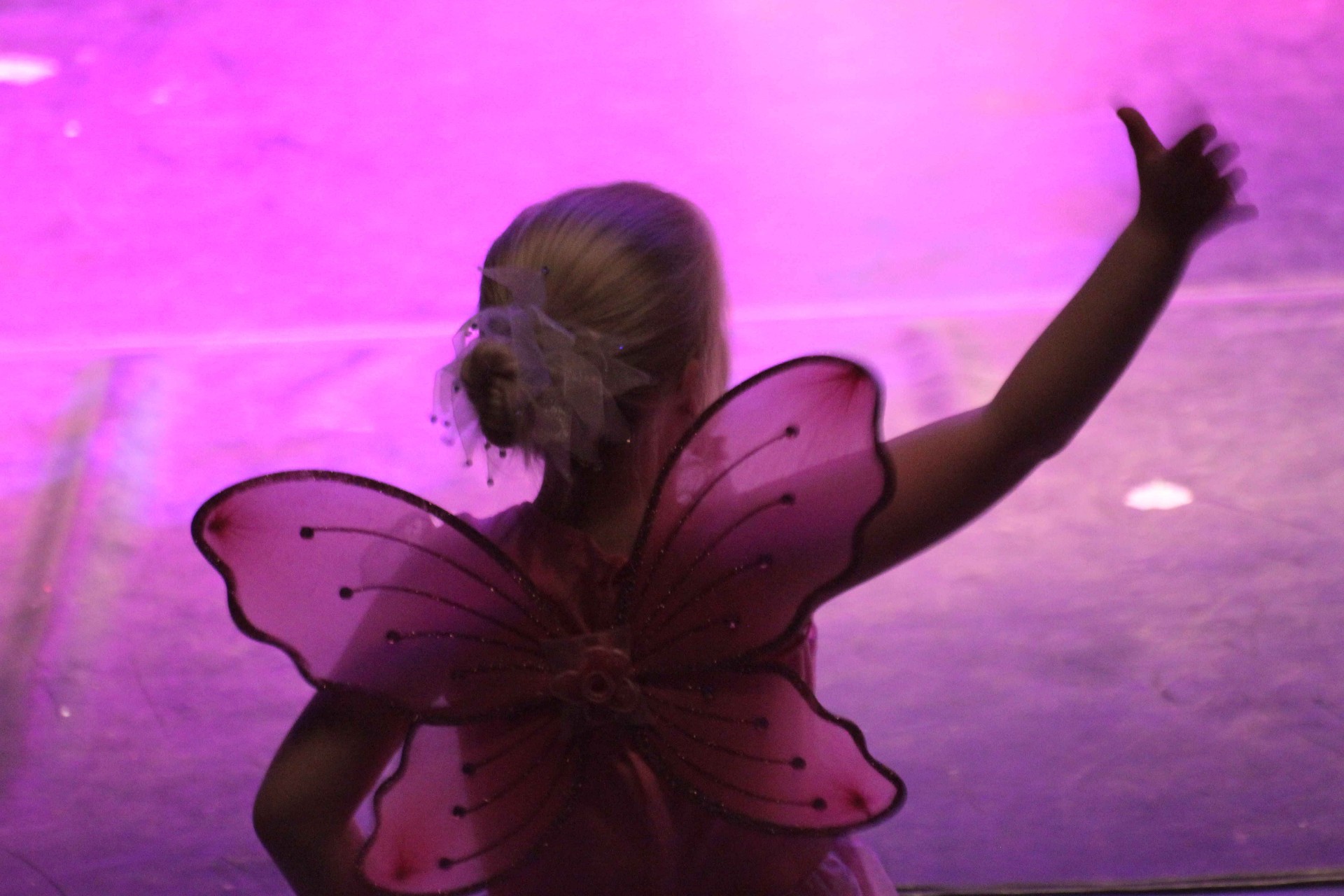 Danse et Vous — photo de gala